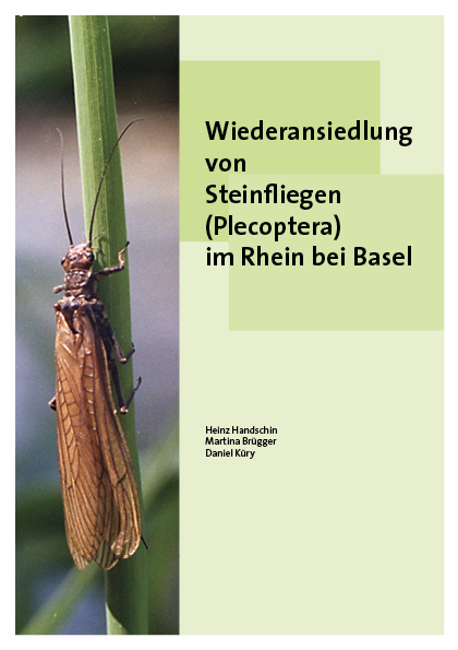 TitelBerichtPlecoptera kurzNeu