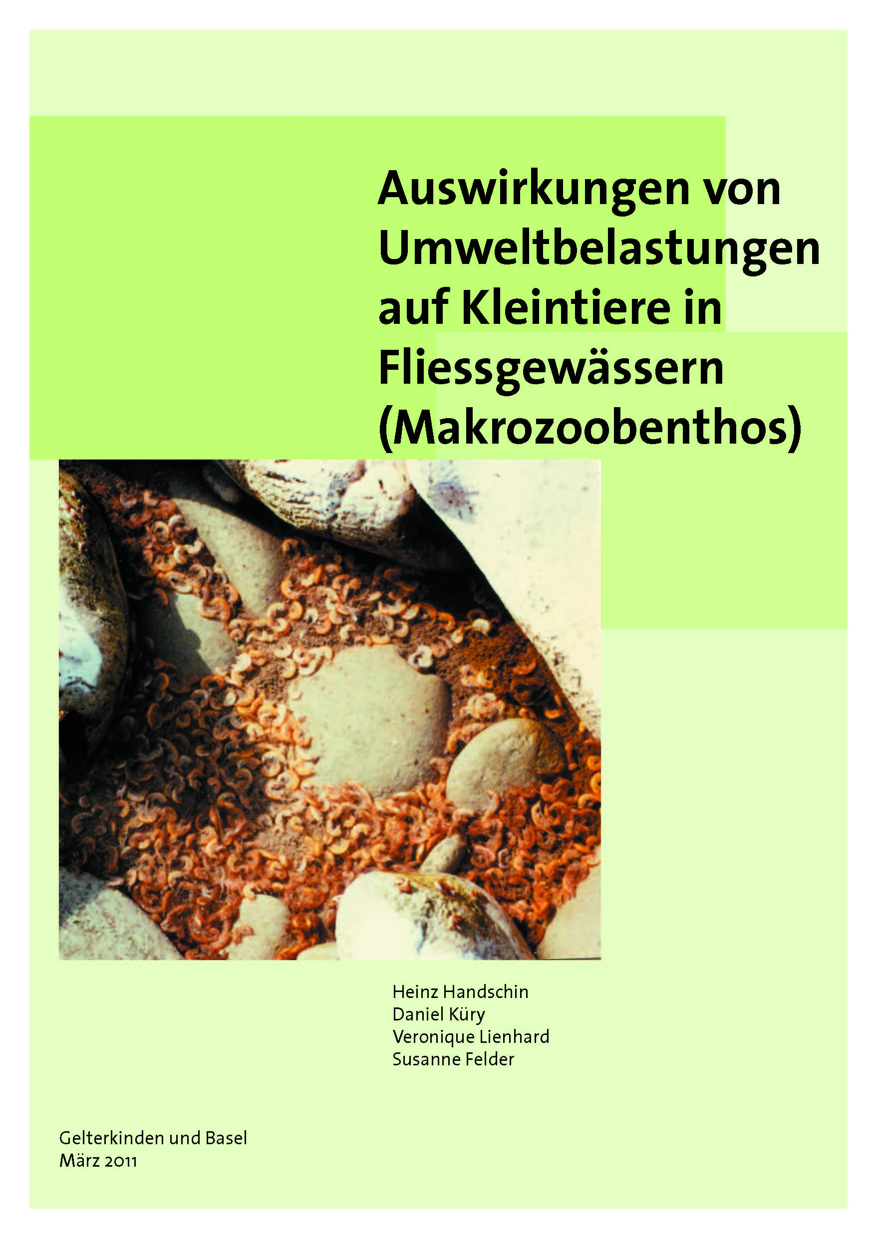 TitelUmweltbelastungenMZB Anomalien